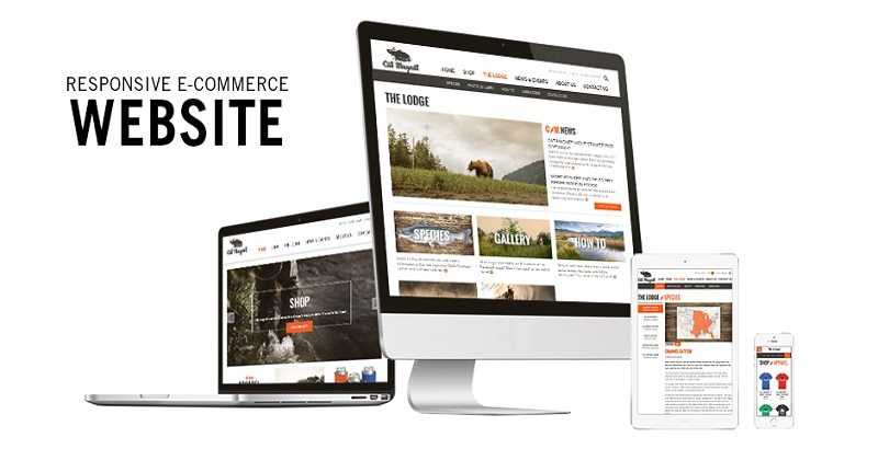 Responsive eCommerce Web Design