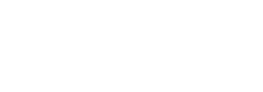 Shopify Plus Partner