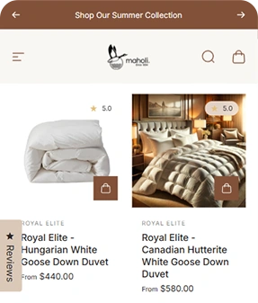 Maholi Case Study Main Image